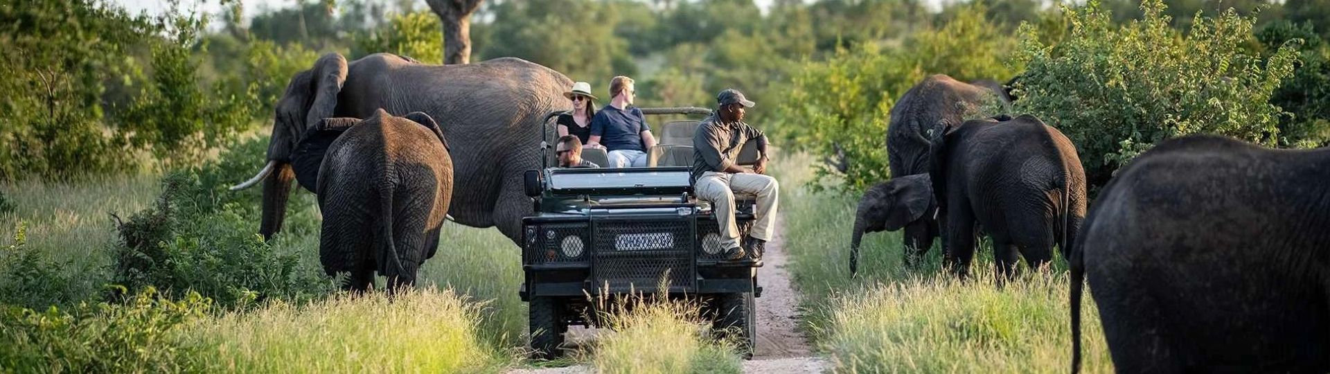 Direct to South Africa