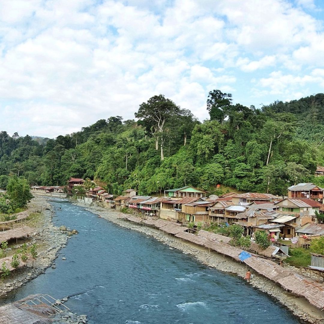 Bukit Lawang