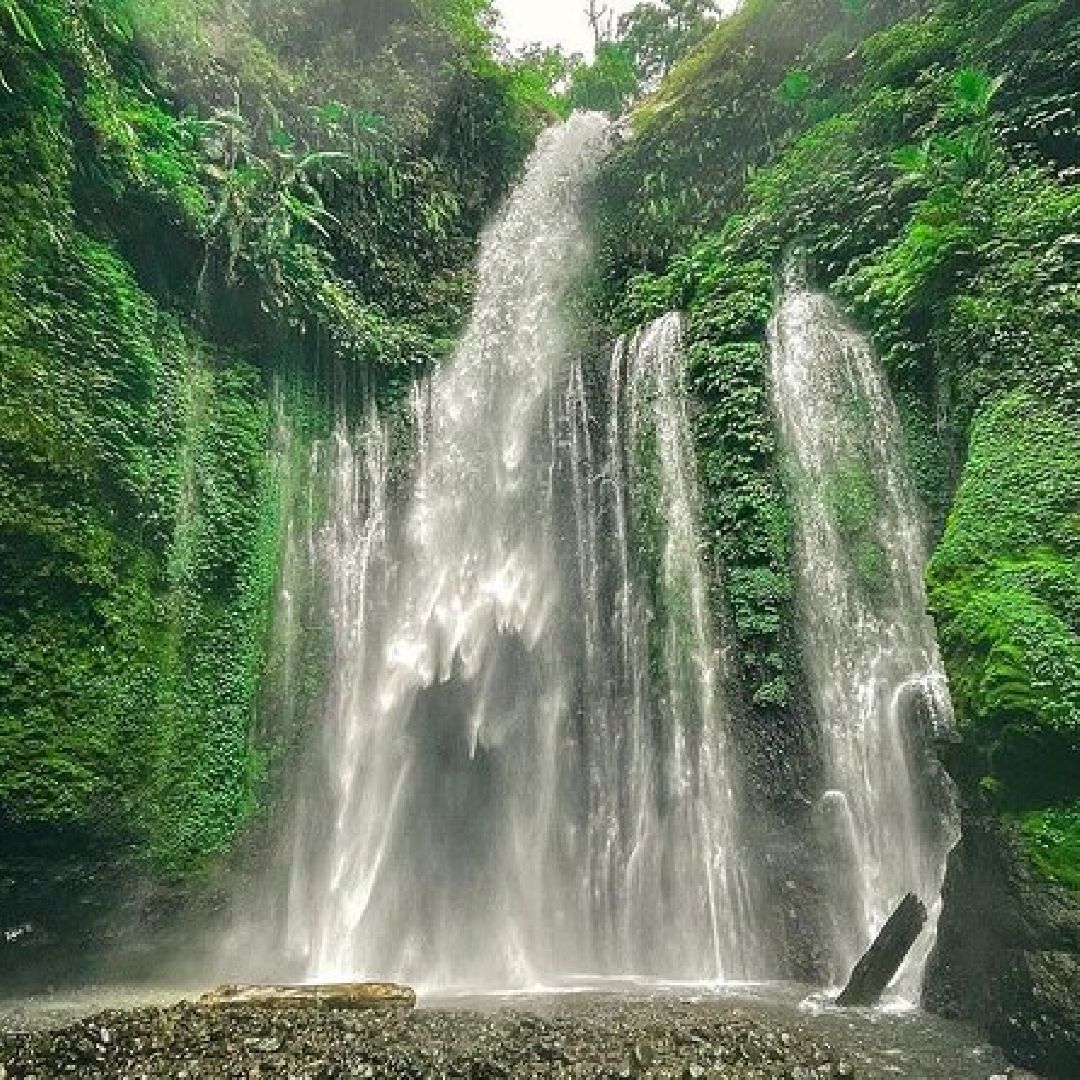 Cascadas Sendang Gile Cascadas Sendang Gile