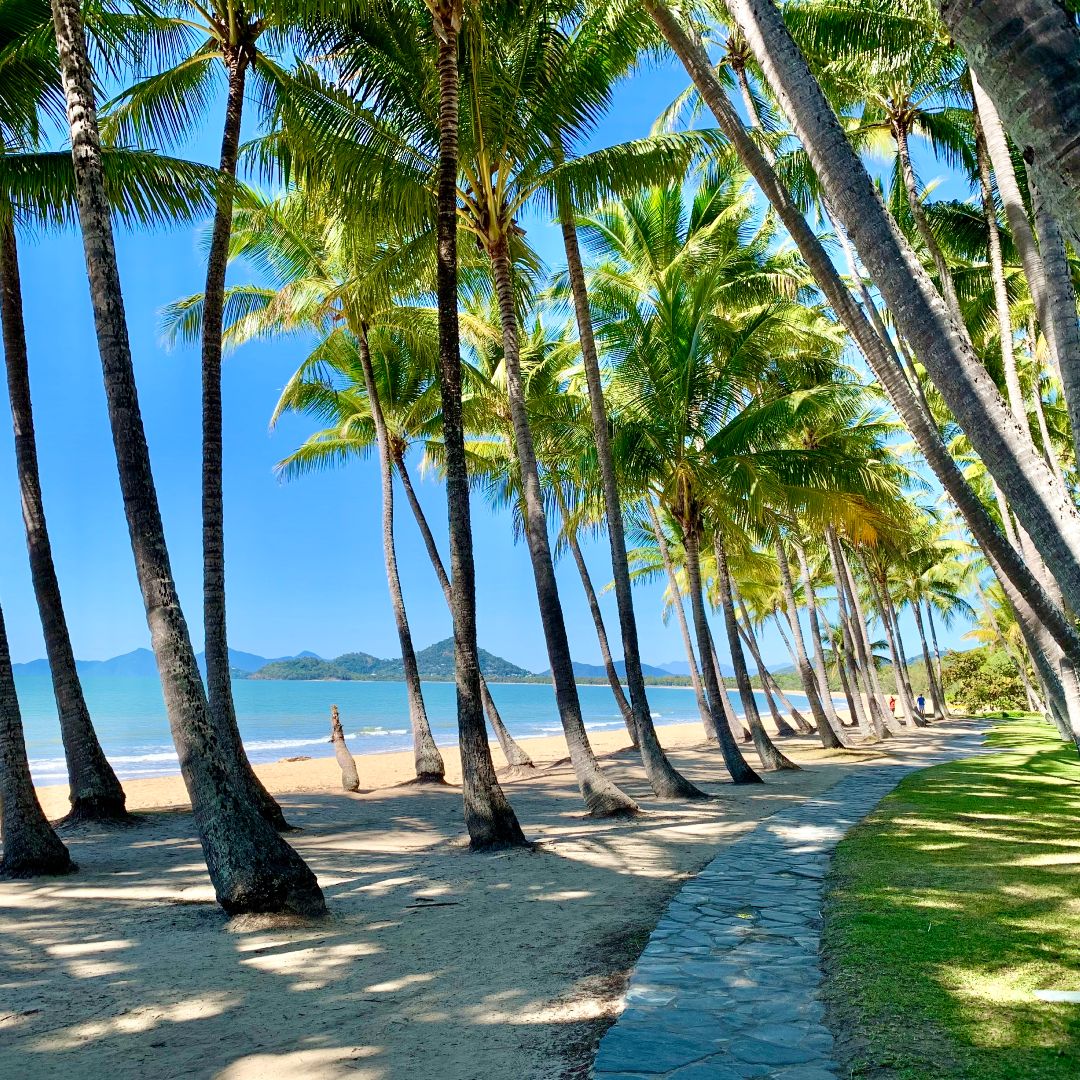 Palm Cove Beach Plage de Palm Cove